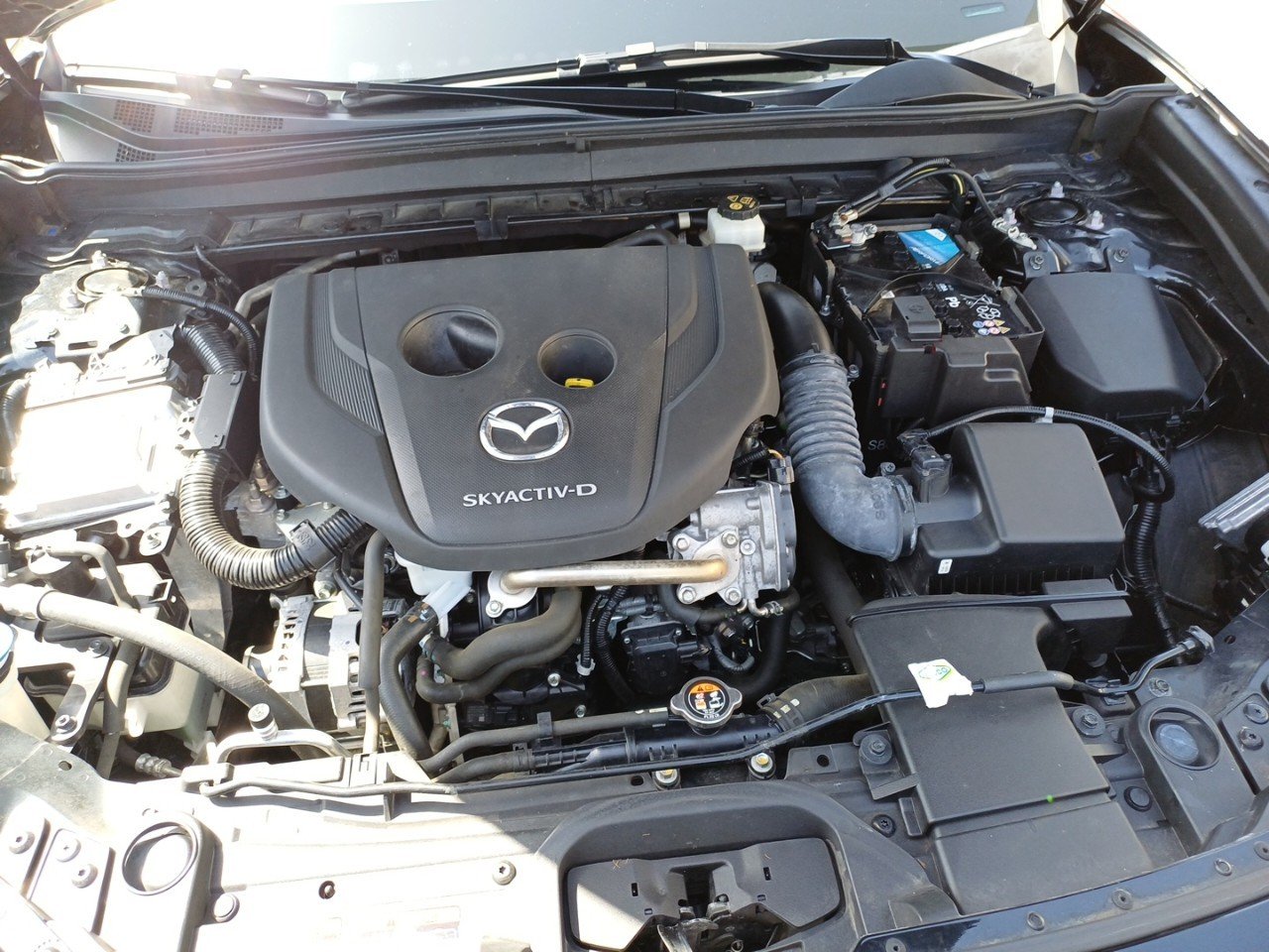 mazda - Visuel 22