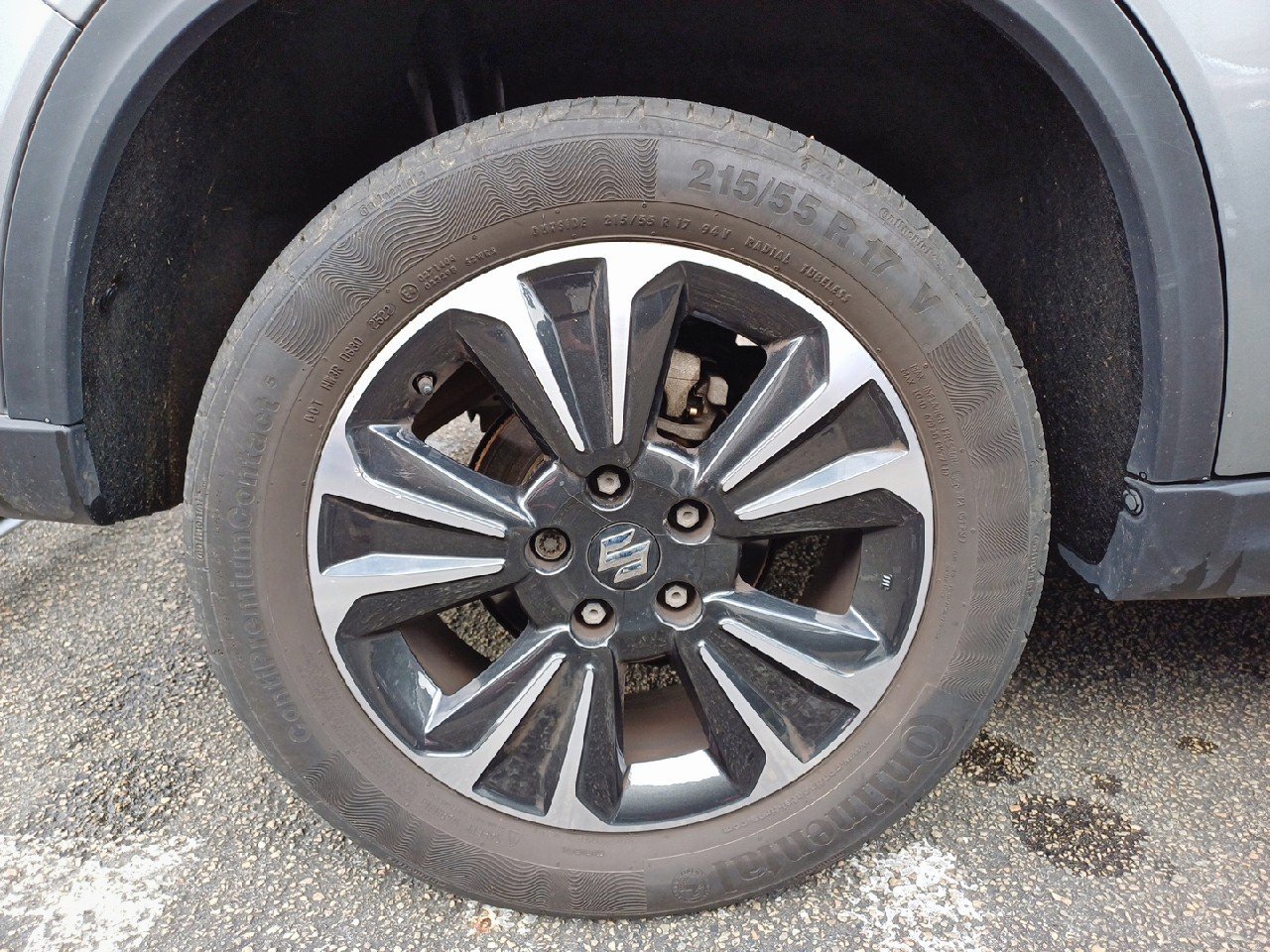 suzuki - Visuel 8