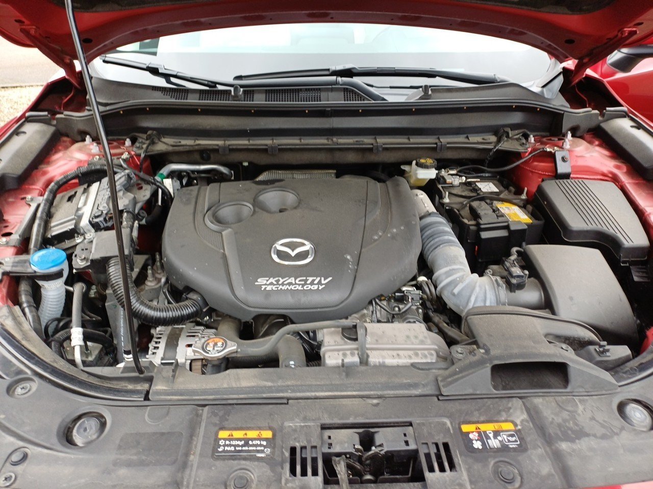 mazda - Visuel 20